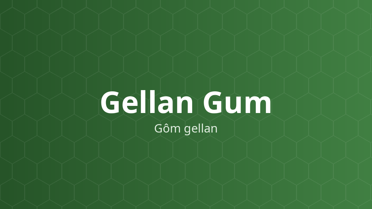 Gellan Gum (Gôm gellan) – Tạo gel, bám dính niêm mạc