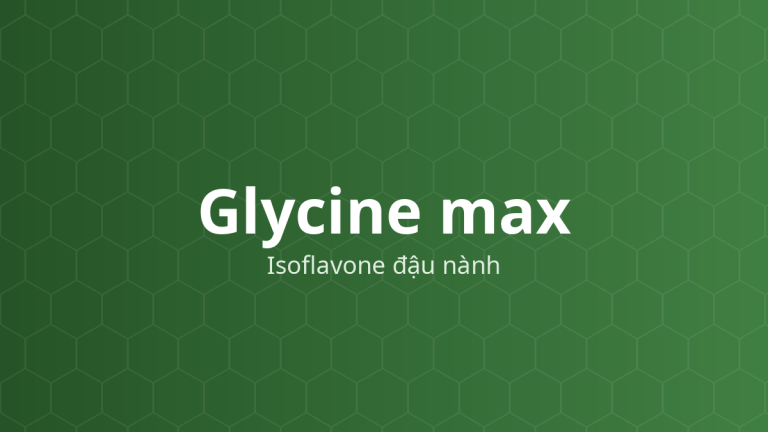 Glycine max (Isoflavone đậu nành) – Chiết xuất thực vật