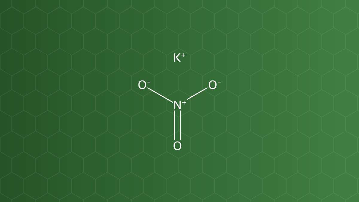 Potassium Nitrate (Kali nitrat) – Chất bảo quản – công thức cấu tạo