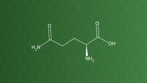 L-Glutamine (Glutamin) – Acid amin – công thức cấu tạo