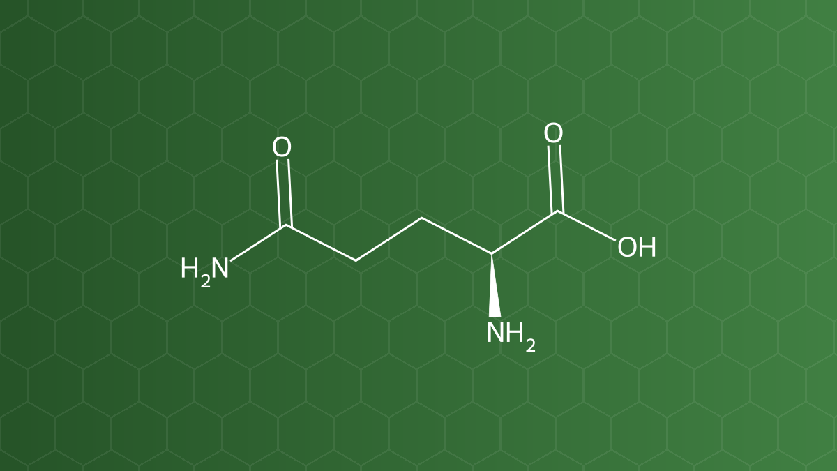 L-Glutamine (Glutamin) – Acid amin – công thức cấu tạo