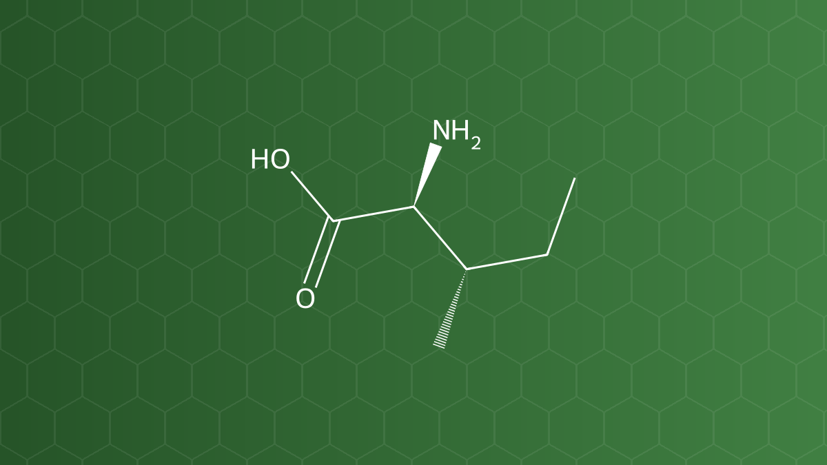 L-Isoleucine (Isoleucin) – Acid amin mạch nhánh – công thức cấu tạo