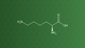 L-Lysine (Lysin) – Acid amin thiết yếu – công thức cấu tạo