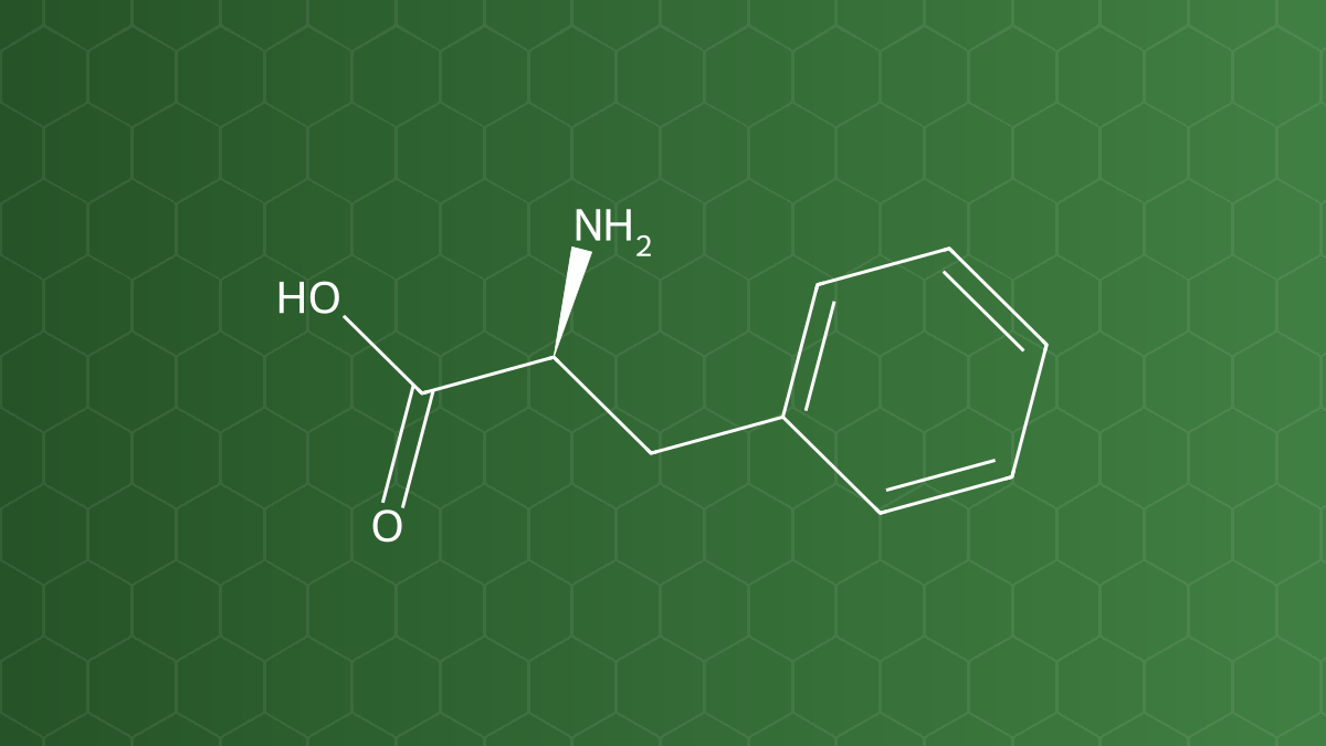 L-Phenylalanine (Phenylalanin) – Acid amin thiết yếu – công thức cấu tạo
