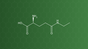 L-Theanine (Theanin) – Acid amin không cấu tạo protein – công thức cấu tạo