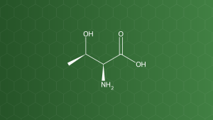 L-Threonine (Threonin) – Acid amin thiết yếu – công thức cấu tạo
