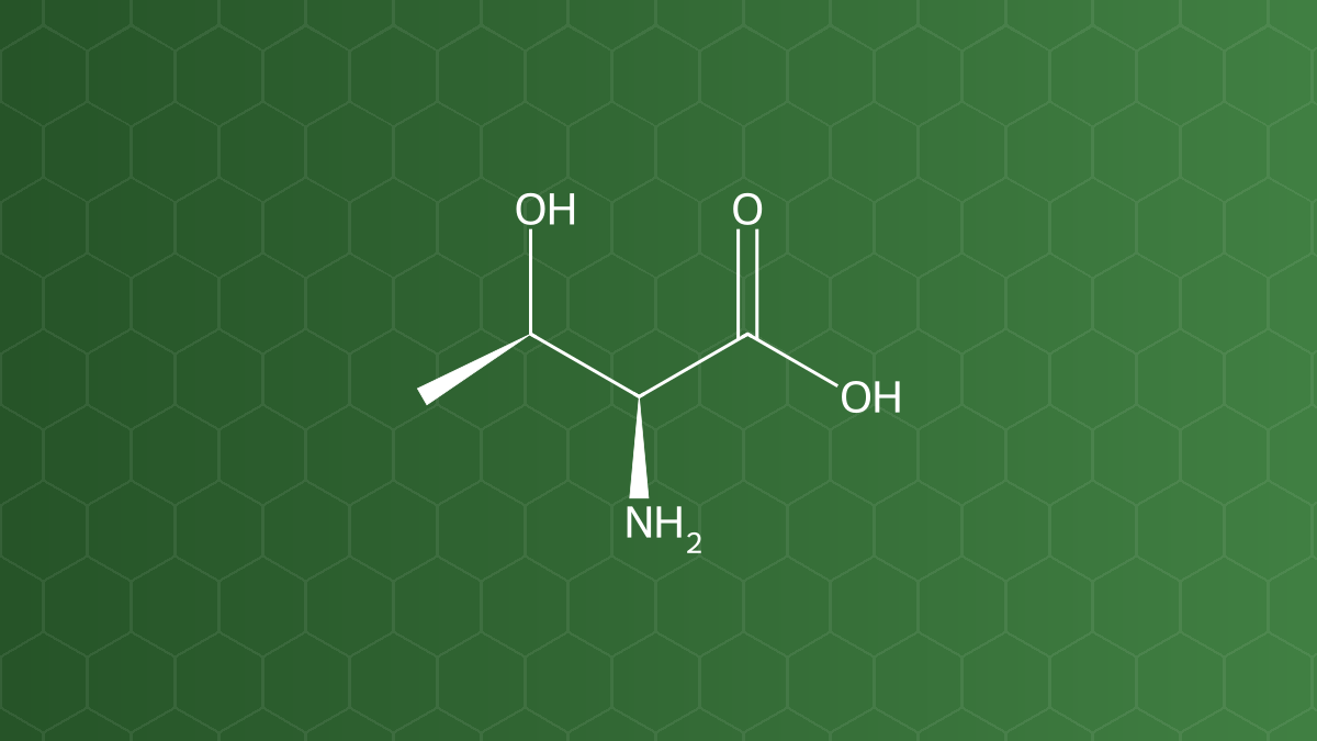 L-Threonine (Threonin) – Acid amin thiết yếu – công thức cấu tạo