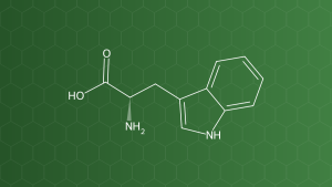 L-Tryptophan (Tryptophan) – Acid amin thiết yếu – công thức cấu tạo