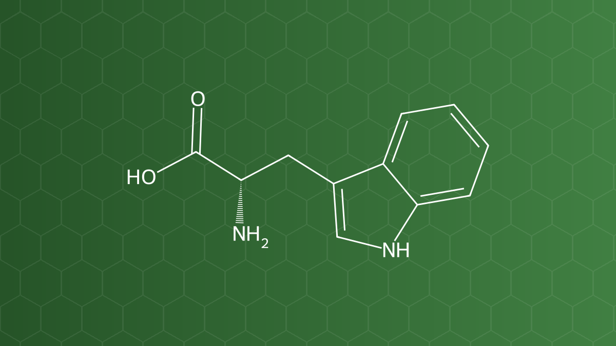 L-Tryptophan (Tryptophan) – Acid amin thiết yếu – công thức cấu tạo