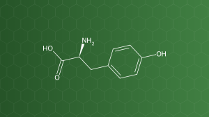 L-Tyrosine (Tyrosin) – Acid amin – công thức cấu tạo