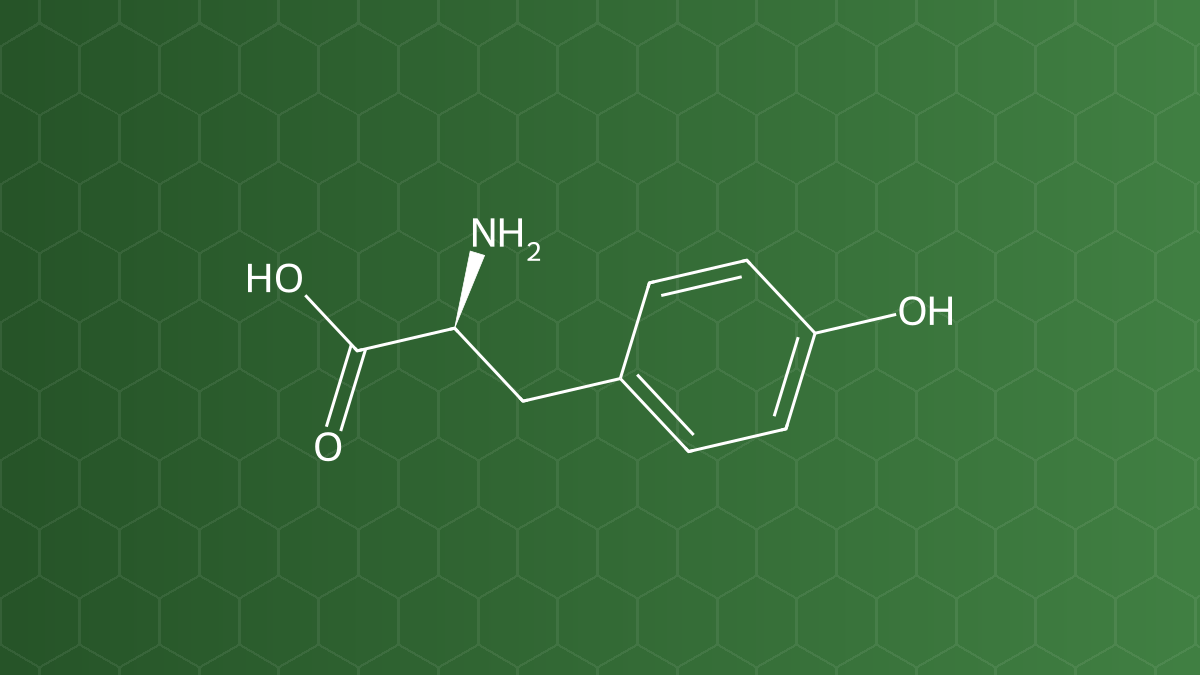 L-Tyrosine (Tyrosin) – Acid amin – công thức cấu tạo