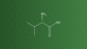 L-Valine (Valin) – Acid amin mạch nhánh – công thức cấu tạo