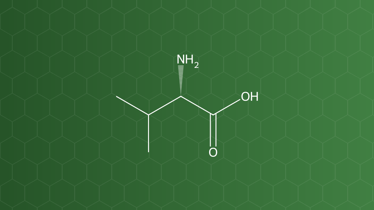 L-Valine (Valin) – Acid amin mạch nhánh – công thức cấu tạo