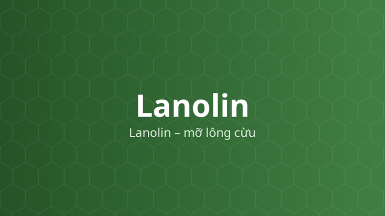 Lanolin (Lanolin – mỡ lông cừu) – Chất nhũ hóa, nền thuốc mỡ