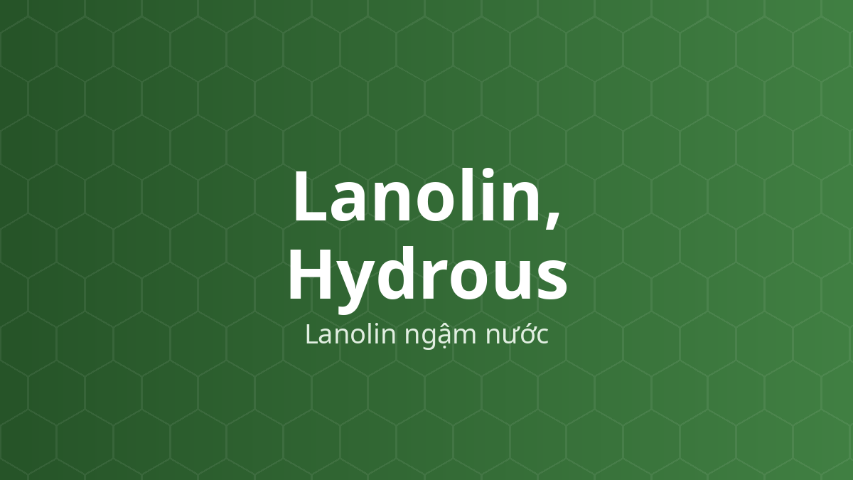 Lanolin, Hydrous (Lanolin ngậm nước) – Chất nhũ hóa, nền thuốc mỡ
