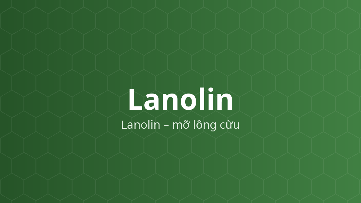 Lanolin (Lanolin – mỡ lông cừu) – Chất nhũ hóa, nền thuốc mỡ