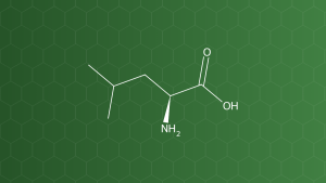 Leucine (L-Leucin) – Chống dính, tạo hương, tá dược trơn – công thức cấu tạo