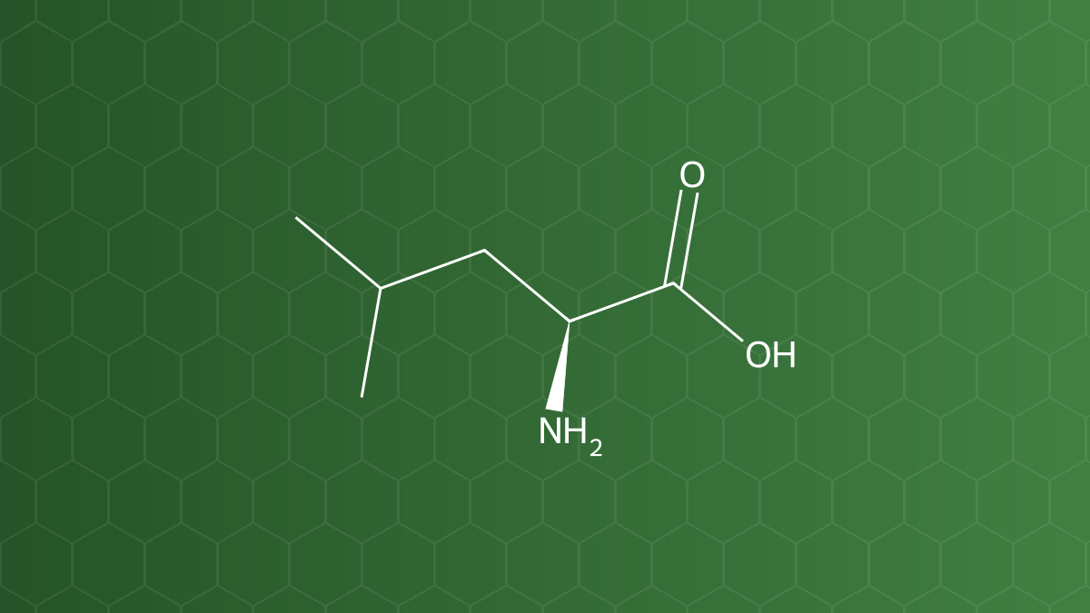 Leucine (L-Leucin) – Chống dính, tạo hương, tá dược trơn – công thức cấu tạo