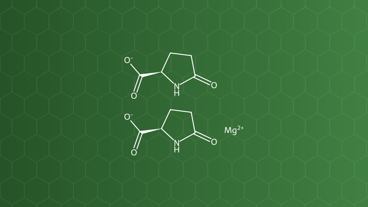 Magnesium pidolate (Magnesi pidolat) – Muối khoáng hữu cơ – công thức cấu tạo
