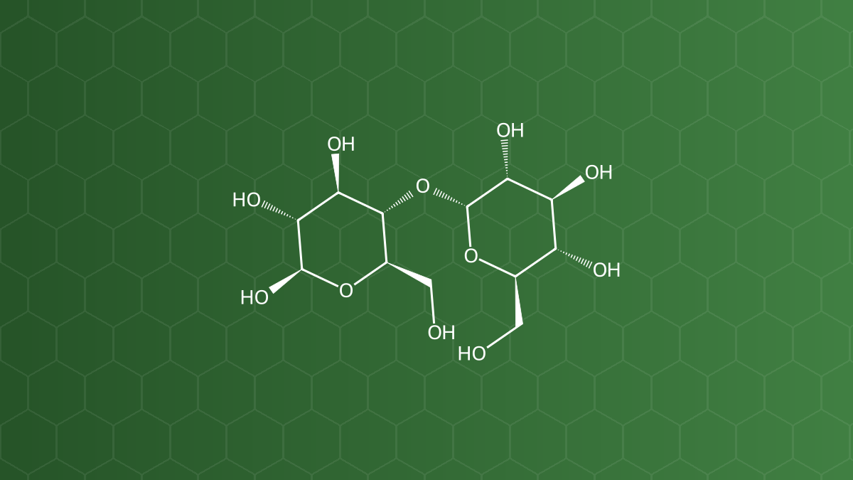 Maltose (Maltose) – Chất tạo ngọt, tá dược độn viên nén – công thức cấu tạo