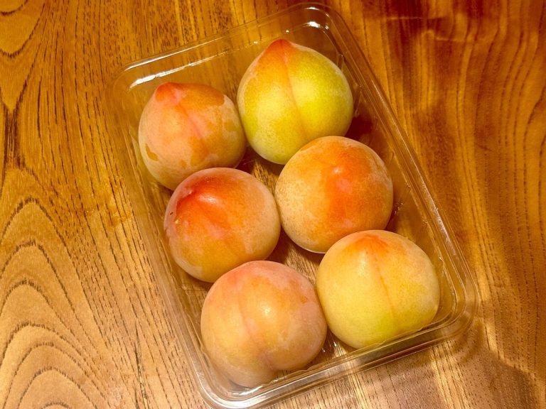 Cây mận (Prunus salicina)