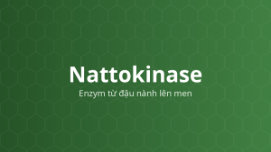 Nattokinase (Enzym từ đậu nành lên men) – Enzym protease