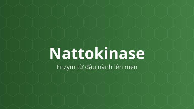 Nattokinase (Enzym từ đậu nành lên men) – Enzym protease