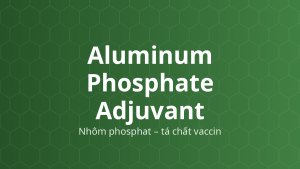 Aluminum Phosphate Adjuvant (Nhôm phosphat – tá chất vaccin) – Tá chất vaccin, chất hấp phụ