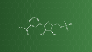 NMN (Nicotinamide mononucleotide) – Nucleotid, tiền chất NAD+ – công thức cấu tạo