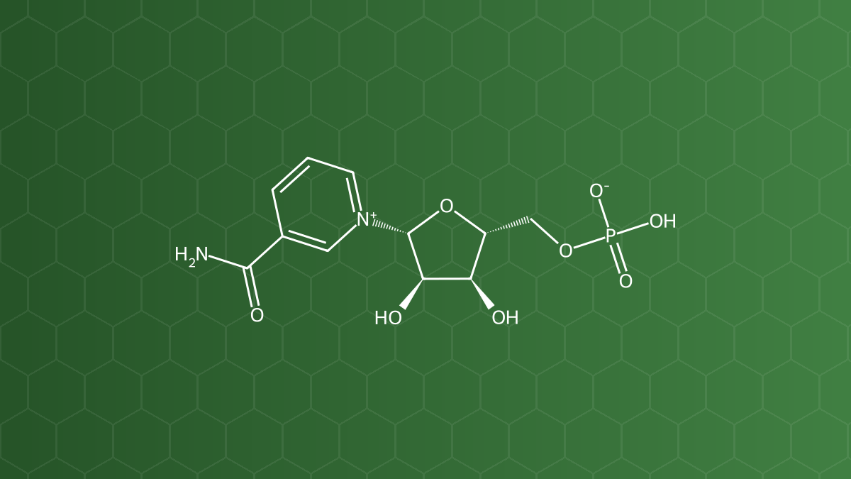 NMN (Nicotinamide mononucleotide) – Nucleotid, tiền chất NAD+ – công thức cấu tạo