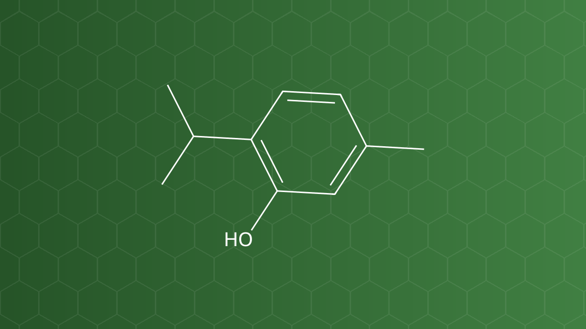 o-Cymen-5-ol (Isopropyl methylphenol) – Chất kháng khuẩn, bảo quản – công thức cấu tạo