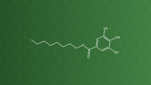 Octyl Gallate (Octyl gallat) – Chất chống oxy hóa – công thức cấu tạo