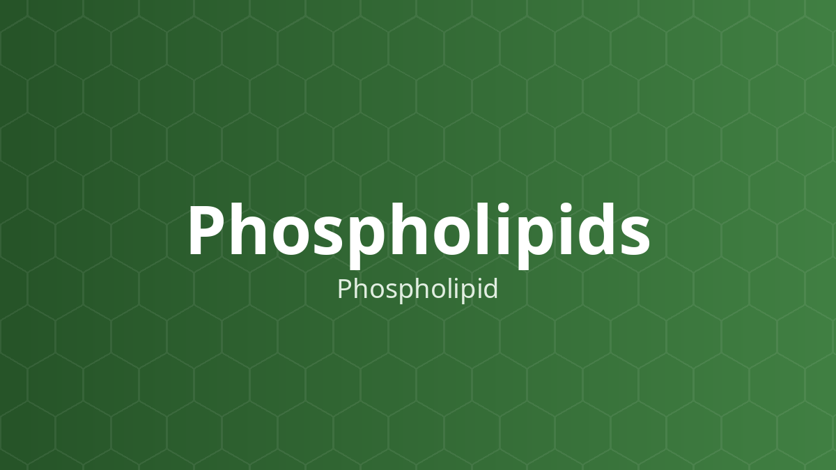 Phospholipids (Phospholipid) – Tạo liposome, chất nhũ hóa