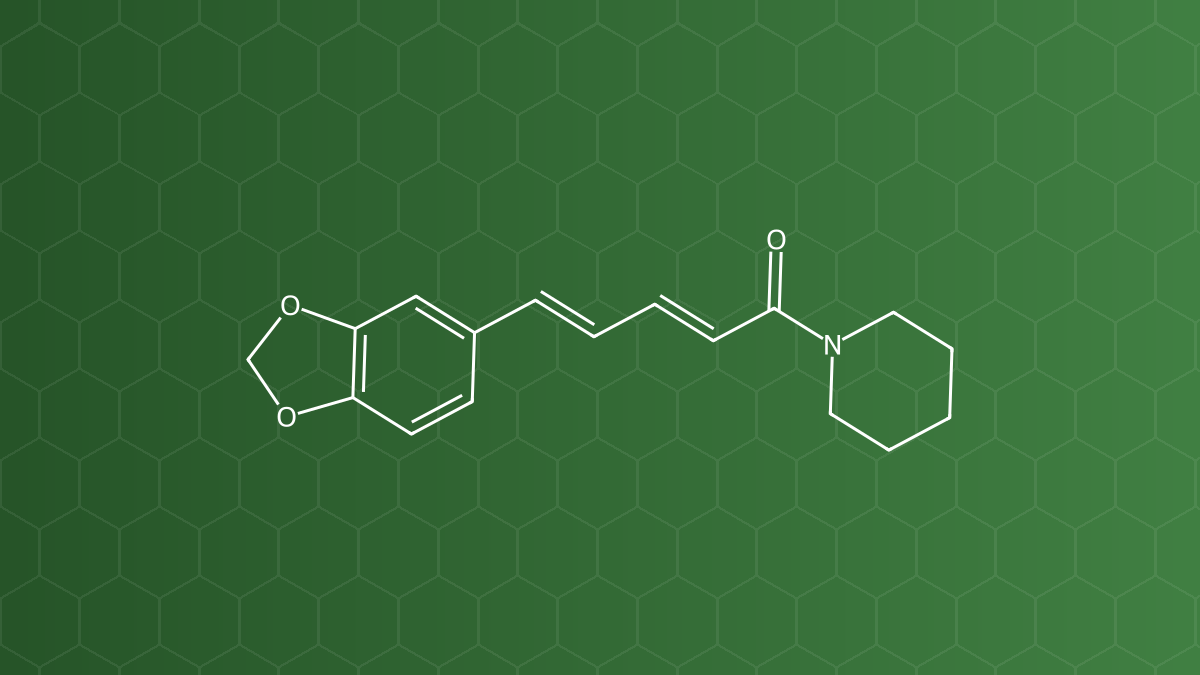 Piperine (Chiết xuất hồ tiêu) – Alkaloid vị cay của hạt tiêu – công thức cấu tạo