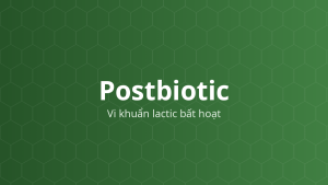 Postbiotic (Vi khuẩn lactic bất hoạt) – Vi sinh vật bất hoạt