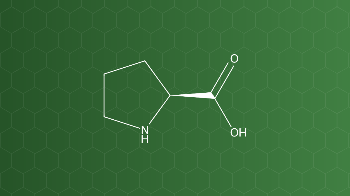 Proline (L-Prolin) – Chất ổn định, chất phân tán – công thức cấu tạo