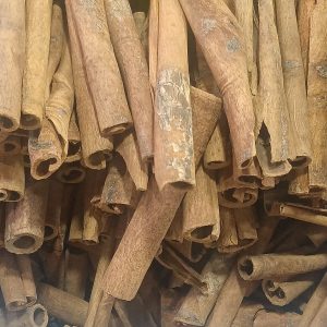 Cây quế (Cinnamomum cassia)