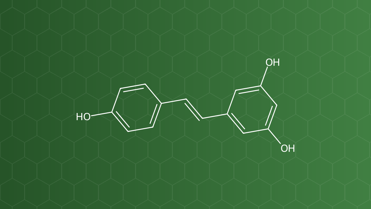 Resveratrol – Stilbenoid – công thức cấu tạo