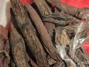 Cây đan sâm – Salvia miltiorrhiza, nguồn nguyên liệu chiết xuất