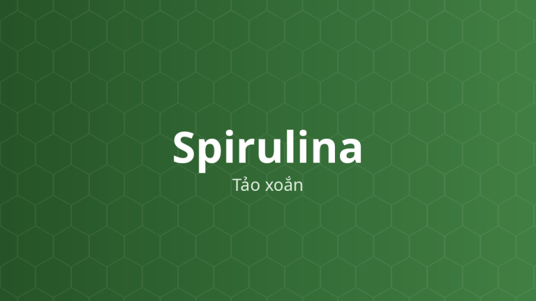 Spirulina (Tảo xoắn) – Vi khuẩn lam (Arthrospira)