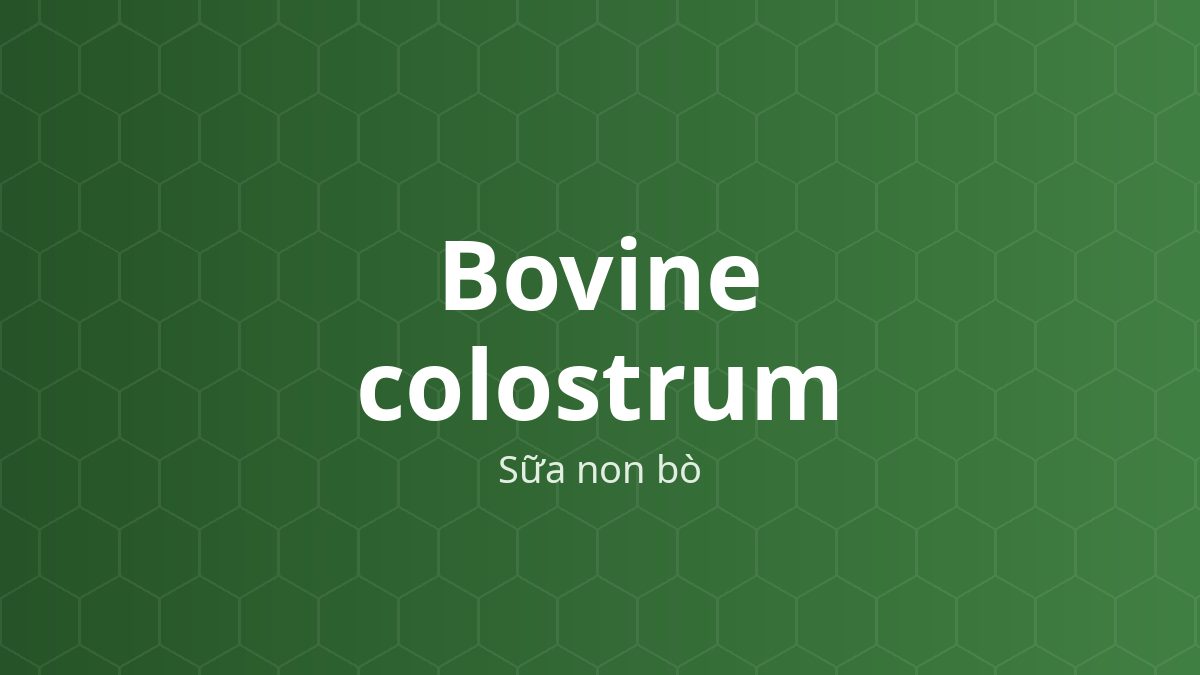 Bovine colostrum (Sữa non bò) – Nguyên liệu từ sữa