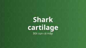 Shark cartilage (Bột sụn cá mập) – Nguồn chondroitin sulfat