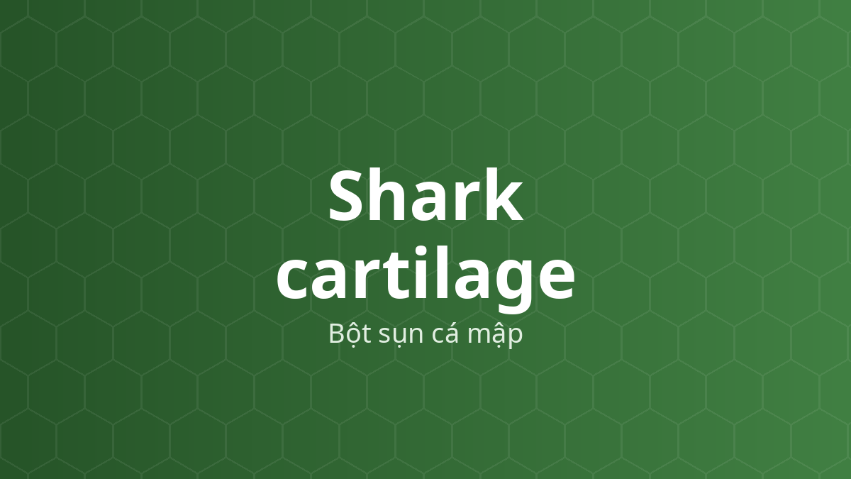 Shark cartilage (Bột sụn cá mập) – Nguồn chondroitin sulfat