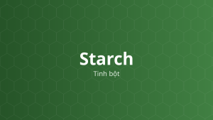 Starch (Tinh bột) – Tá dược độn, dính, rã, trơn chảy