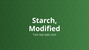 Starch, Modified (Tinh bột biến tính) – Tá dược dính, tạo màng