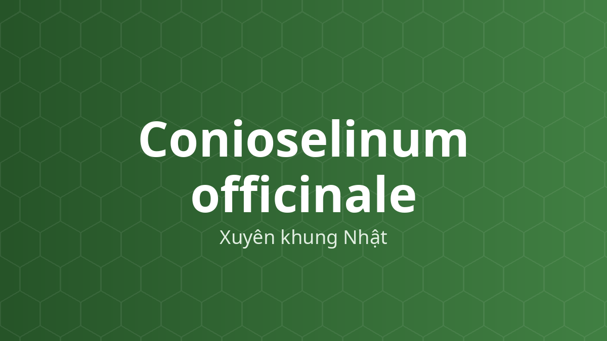 Cây xuyên khung Nhật (Conioselinum officinale)